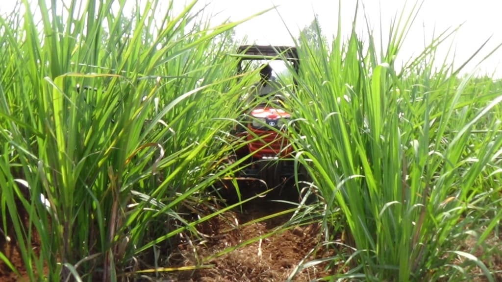 Dr. D. Y. Patil College of Agricultural Engineering & Technology Talsande Kolhapur College Achievement Photos photo 4